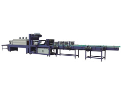 WD-350B type fully automatic straight-line double push packing machine