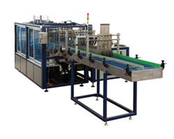 WD-XB25 automatic carton packaging machine